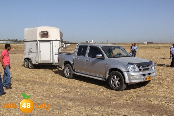 horse race 0602 (11).JPG